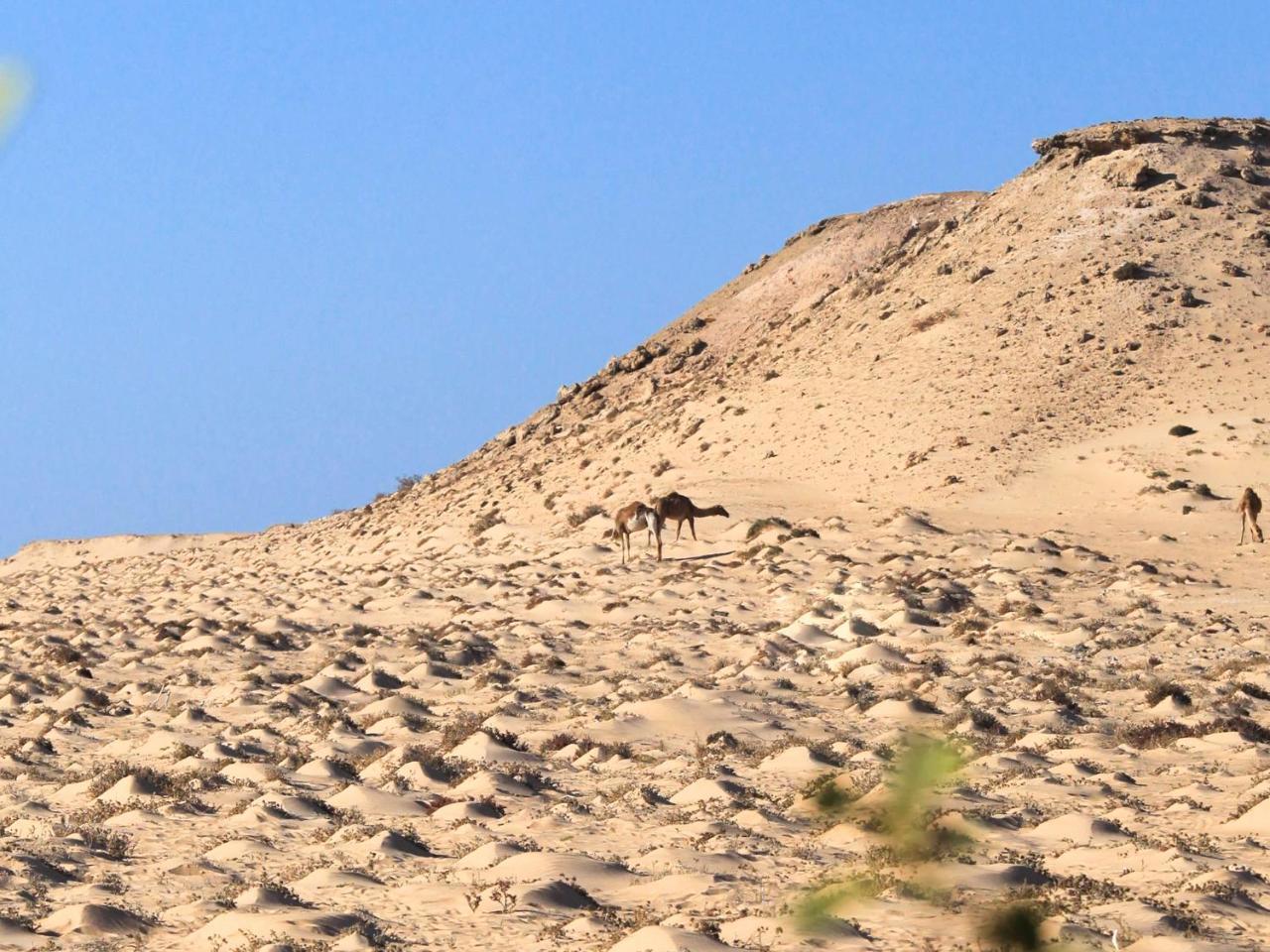Dakhla Kitesurf World Hotel Exterior photo